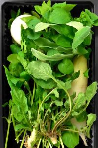 大分県産 春の七草（パック見本）